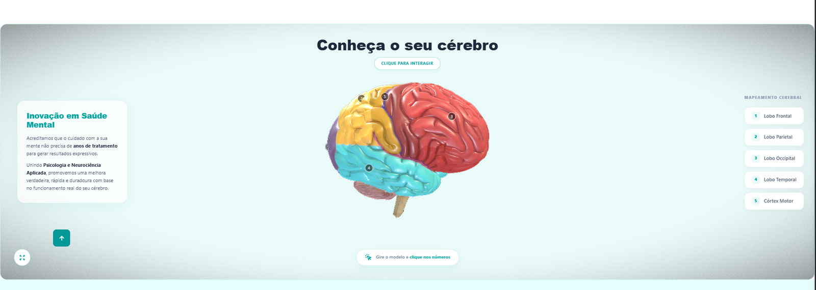 Cerebro 3D